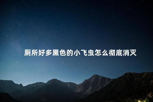 厕所好多黑色的小飞虫怎么彻底消灭