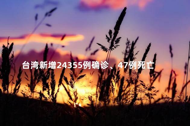 台湾新增24355例确诊、47例死亡