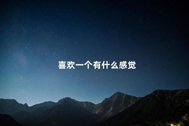 喜欢一个有什么感觉
