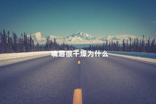 嘴唇很干燥为什么