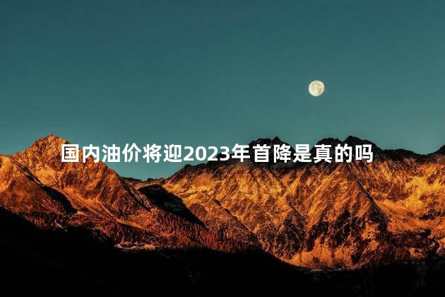 国内油价将迎2023年首降是真的吗