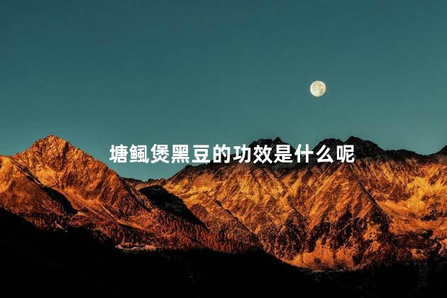 塘鲺煲黑豆的功效是什么呢