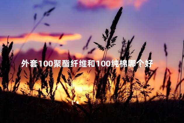 外套100聚酯纤维和100纯棉哪个好些