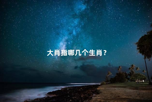 大肖指哪几个生肖？