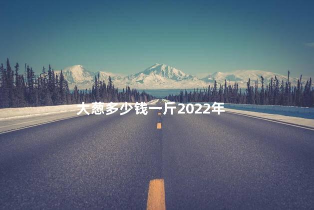 大葱多少钱一斤2022年