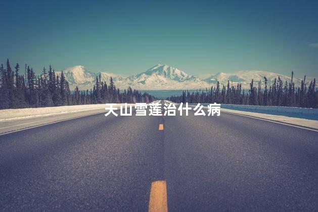 天山雪莲治什么病