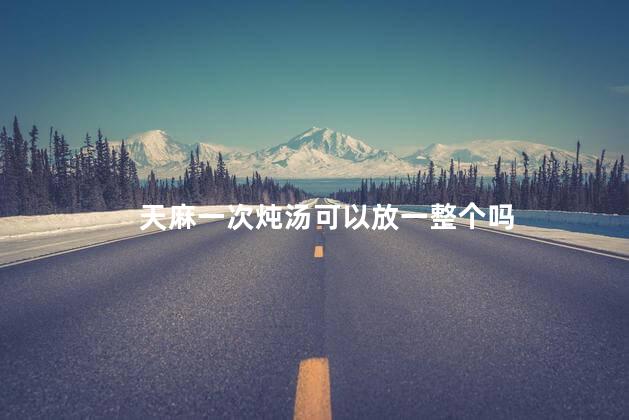 天麻一次炖汤可以放一整个吗