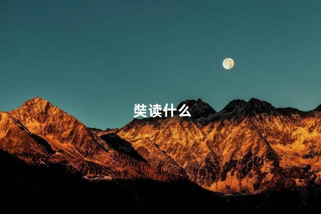 奘读什么