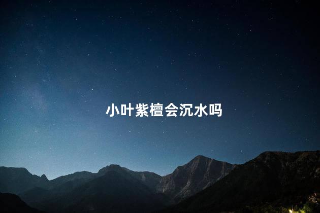 小叶紫檀会沉水吗