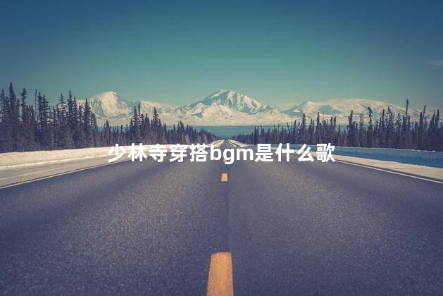 少林寺穿搭bgm是什么歌