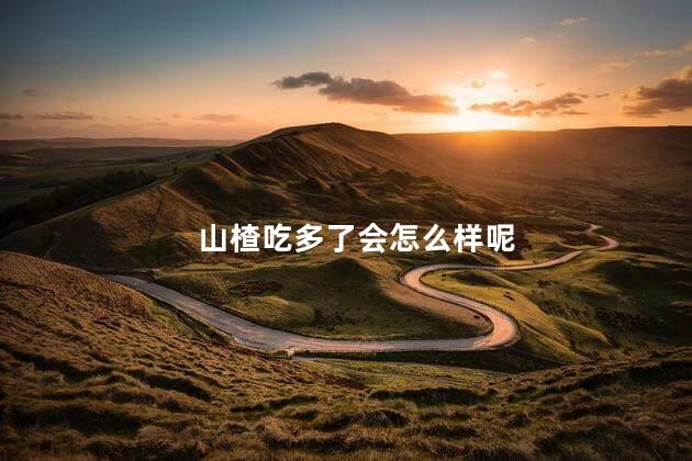 山楂吃多了会怎么样呢