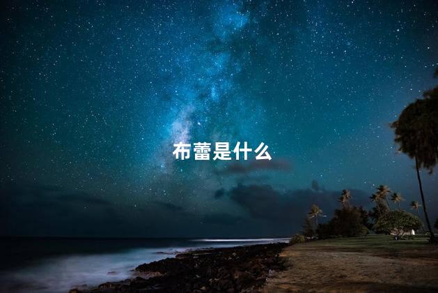 布蕾是什么