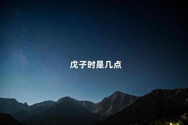 戊子时是几点