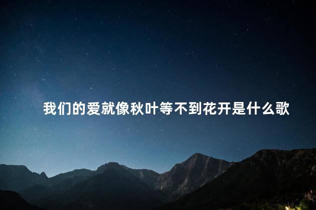 我们的爱就像秋叶等不到花开是什么歌