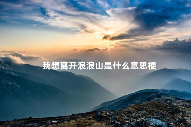 我想离开浪浪山是什么意思梗