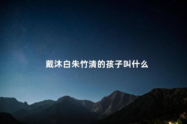 戴沐白朱竹清的孩子叫什么