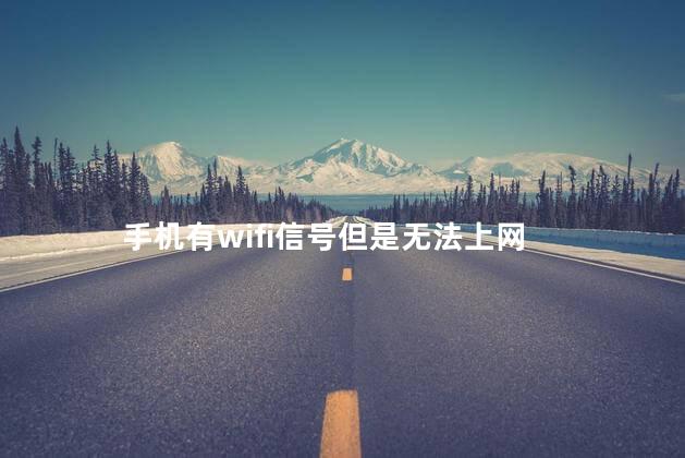 手机有wifi信号但是无法上网