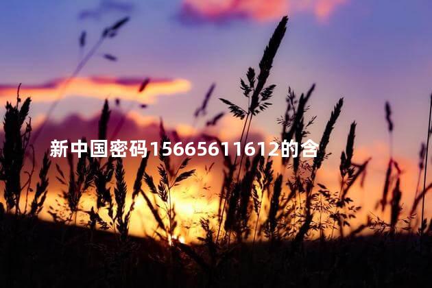 新中国密码15665611612的含义是什么