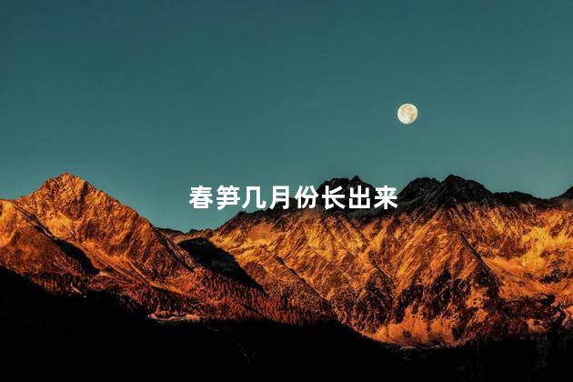 春笋几月份长出来