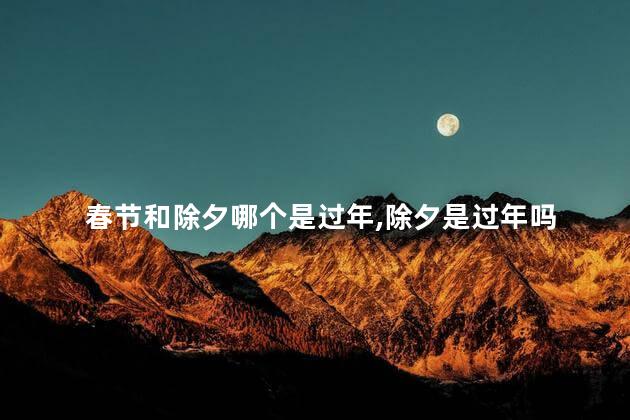 春节和除夕哪个是过年,除夕是过年吗