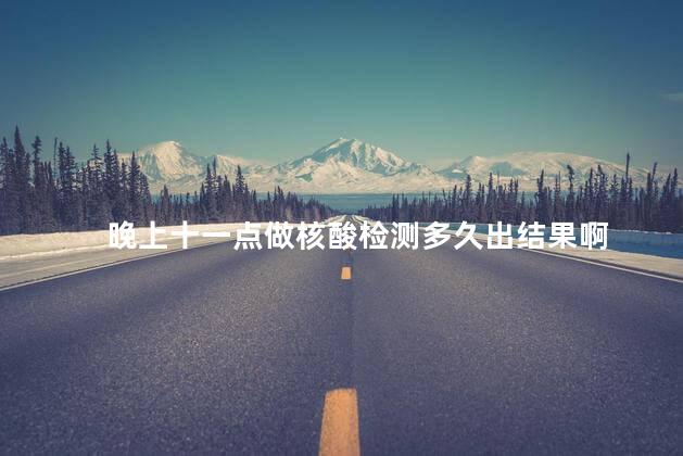 晚上十一点做核酸检测多久出结果啊