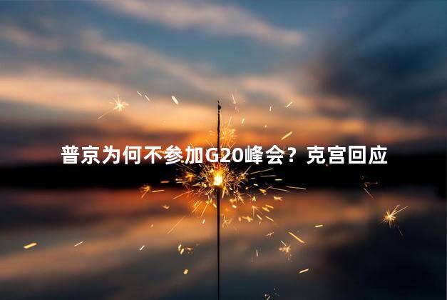 普京为何不参加G20峰会？克宫回应