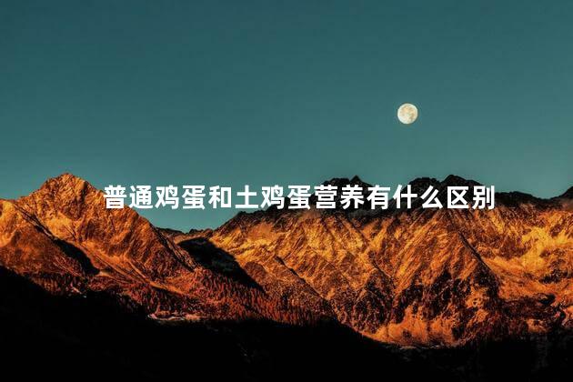 普通鸡蛋和土鸡蛋营养有什么区别
