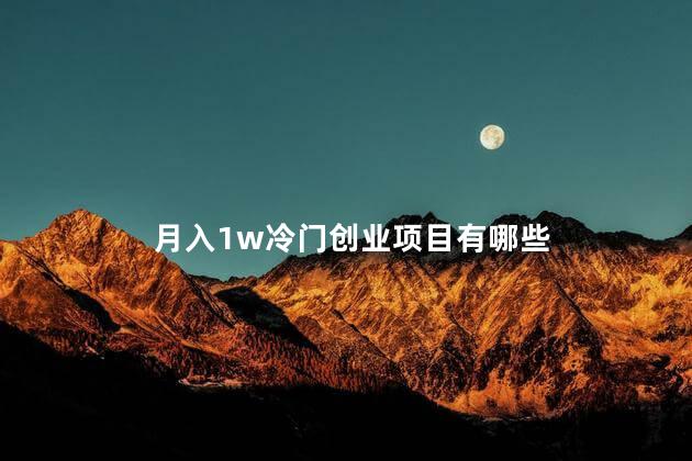 月入1w冷门创业项目有哪些