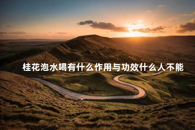桂花泡水喝有什么作用与功效什么人不能吃