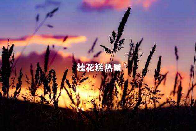 桂花糕热量