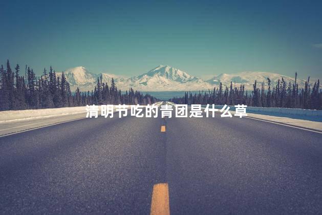 清明节吃的青团是什么草