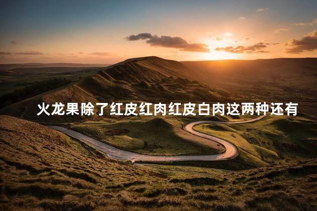 火龙果除了红皮红肉红皮白肉这两种还有什么样的