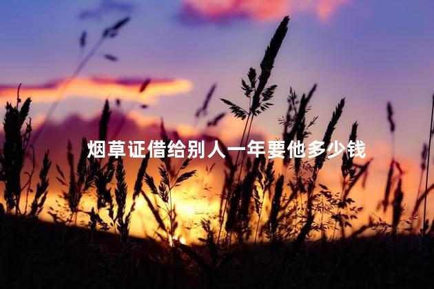 烟草证借给别人一年要他多少钱