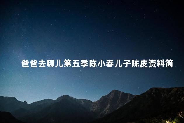 爸爸去哪儿第五季陈小春儿子陈皮资料简介