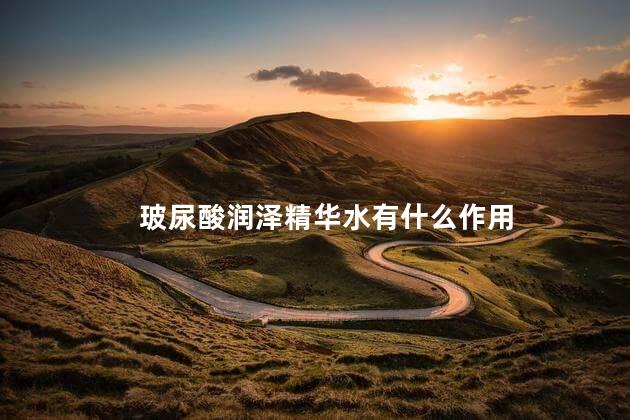 玻尿酸润泽精华水有什么作用