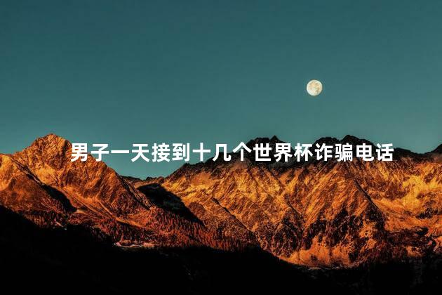 男子一天接到十几个世界杯诈骗电话
