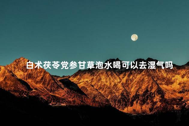 白术茯苓党参甘草泡水喝可以去湿气吗