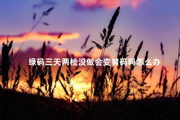 绿码三天两检没做会变黄码吗怎么办