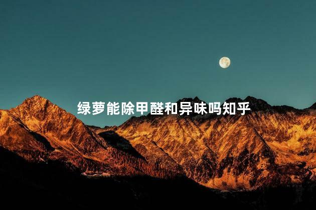 绿萝能除甲醛和异味吗知乎