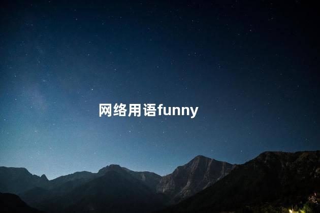 网络用语funny