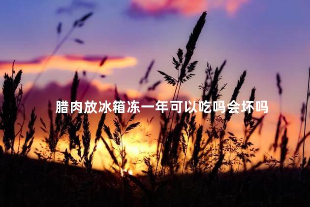 腊肉放冰箱冻一年可以吃吗会坏吗