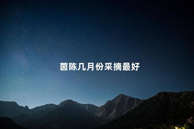 茵陈几月份采摘最好