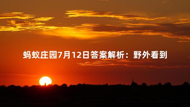 蚂蚁庄园7月12日答案解析：野外看到形似桑葚的小野果可以摘来吃吗