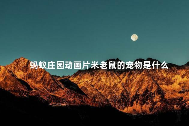 蚂蚁庄园动画片米老鼠的宠物是什么