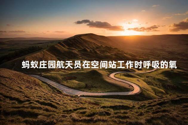 蚂蚁庄园航天员在空间站工作时呼吸的氧气从哪来