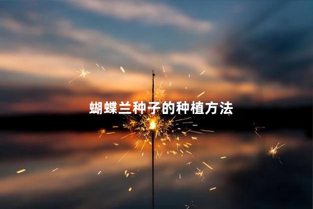蝴蝶兰种子的种植方法