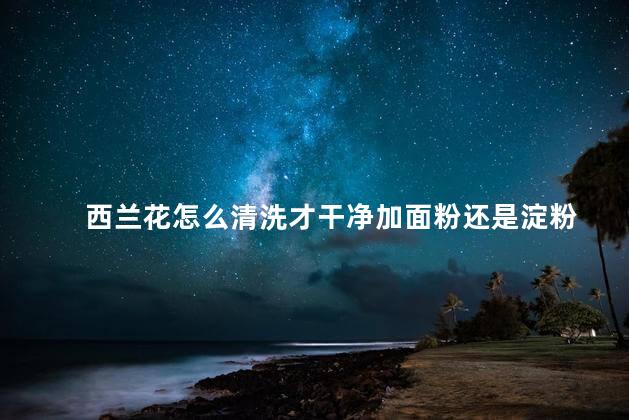 西兰花怎么清洗才干净加面粉还是淀粉