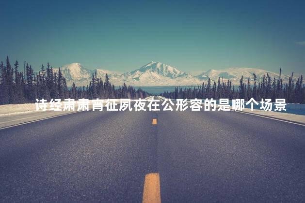 诗经肃肃宵征夙夜在公形容的是哪个场景