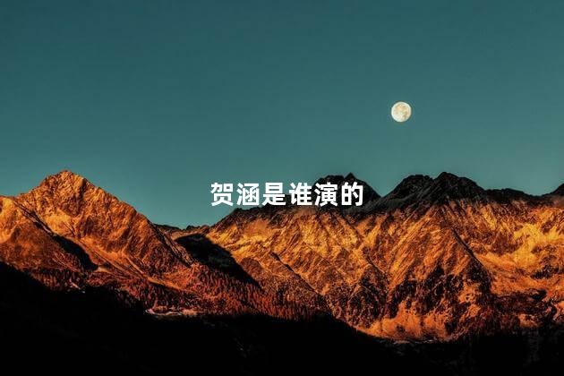 贺涵是谁演的