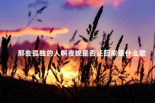 那些孤独的人啊夜晚是否还回家是什么歌